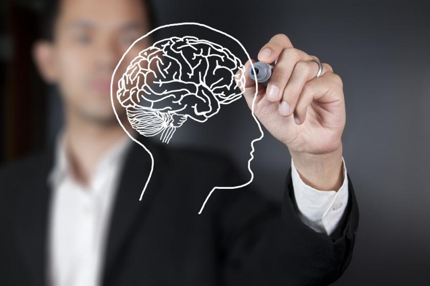 Tu lengua materna podría moldear las conexiones de tu cerebro